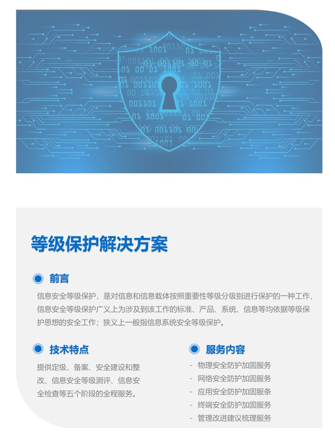 等级保护解决方案 .png